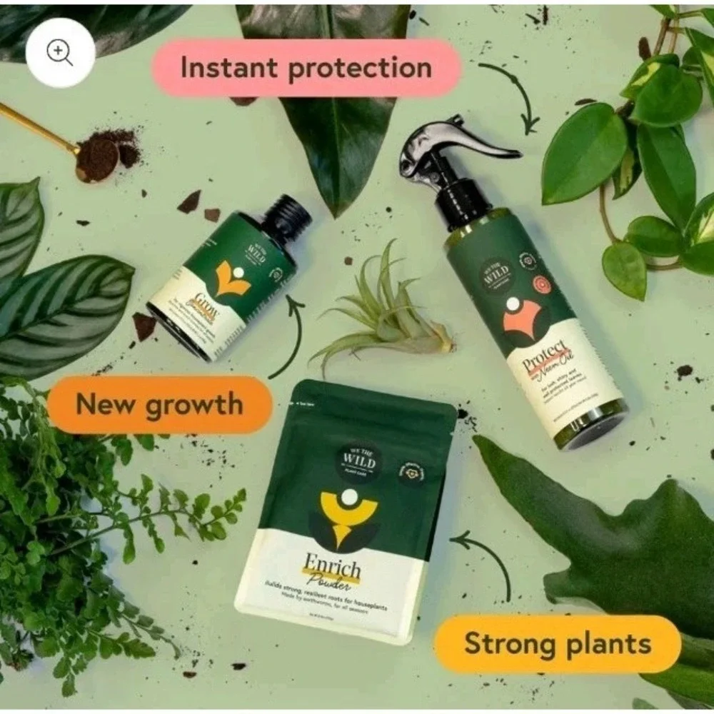 We The Wild Essential Houseplant Care Kit Value Trio